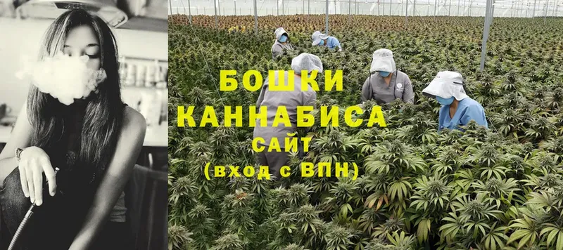 Марихуана THC 21%  купить наркотики цена  Динская 